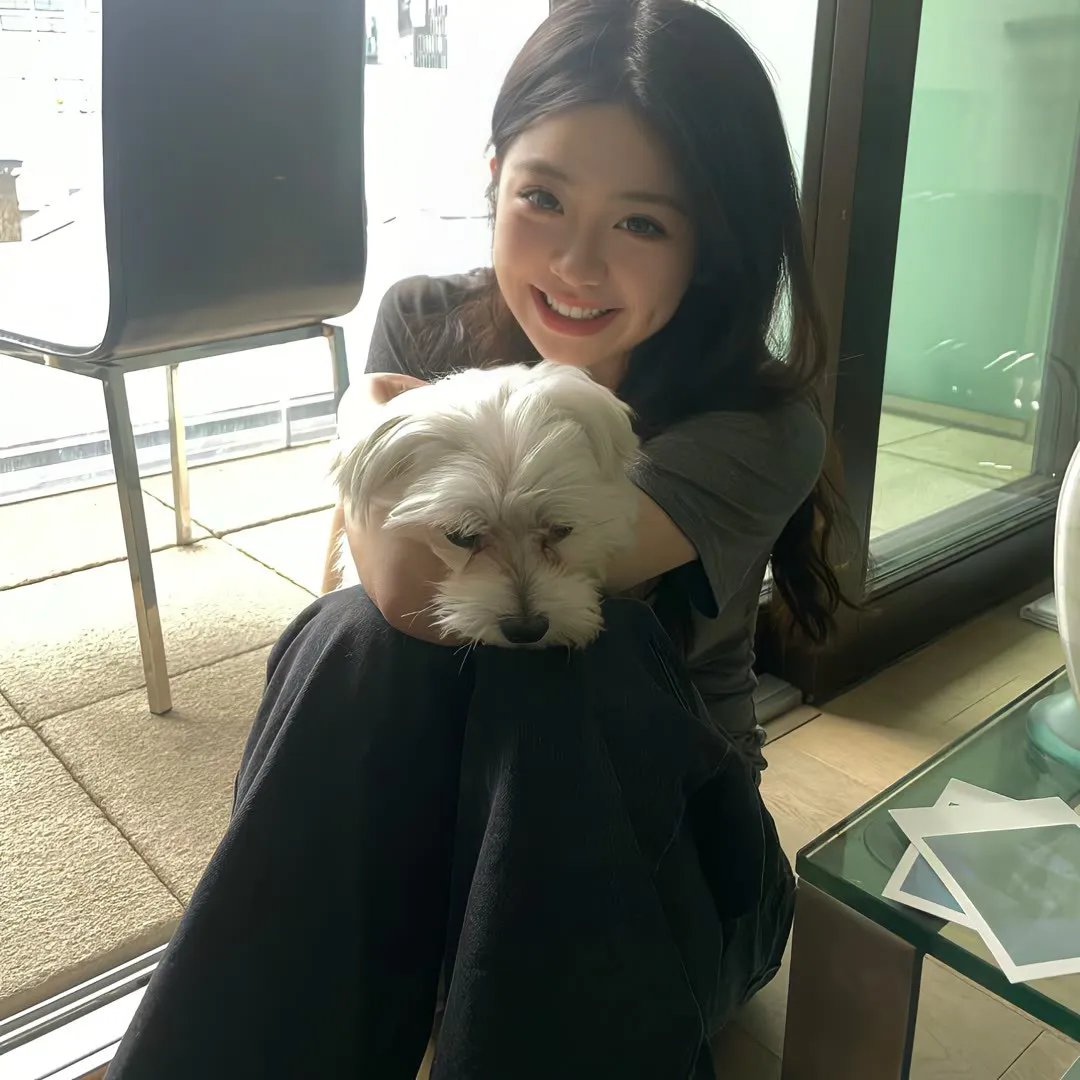儍侠妖姬封面
